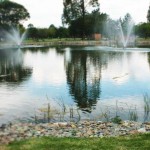 GEORGE SUTTER DUCK POND, SELECTION PARK, SPRINGS